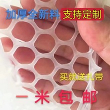 厂家批发加厚塑料平网阳台防护猫咪围栏脚垫养蜂 养殖 养鸡育雏网