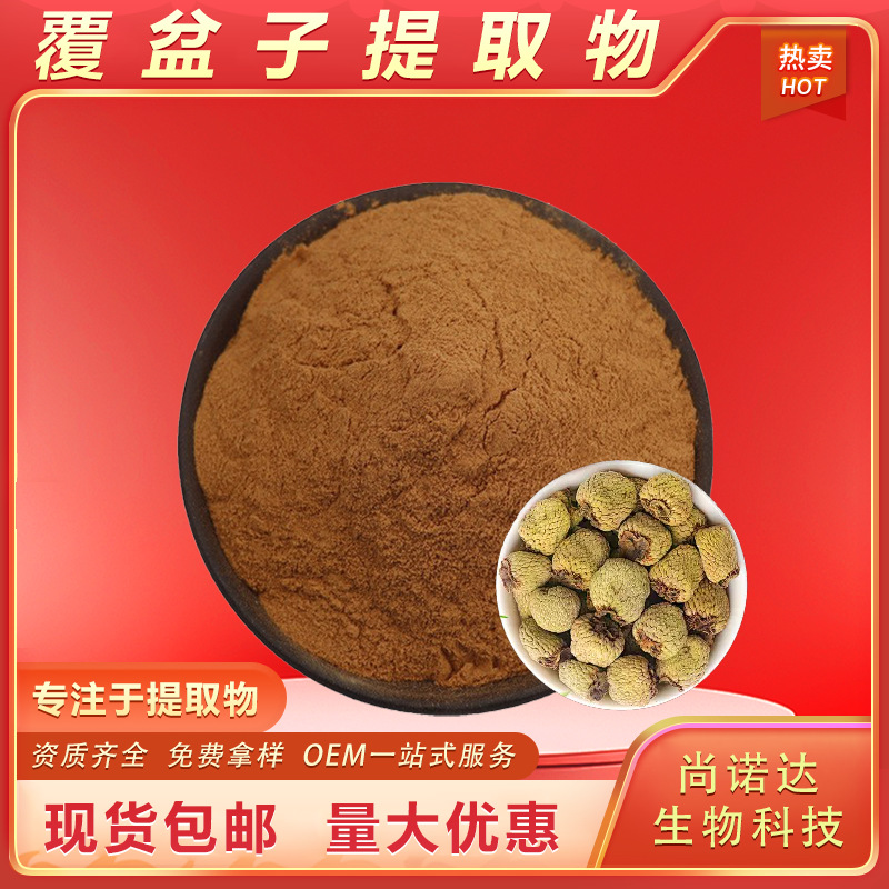 覆盆子提取物10:1水溶性覆盆子粉食品级原料工厂现货批发支持拿样