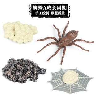 �������ģ��֩�빫�u��������۷�������L���ڃ�ͯ������z���