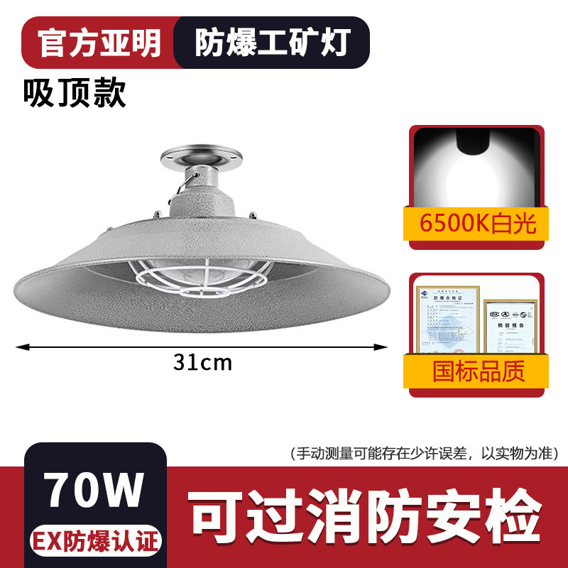 Project price -70W-explosion-proof industrial miner's lamp-ceiling price