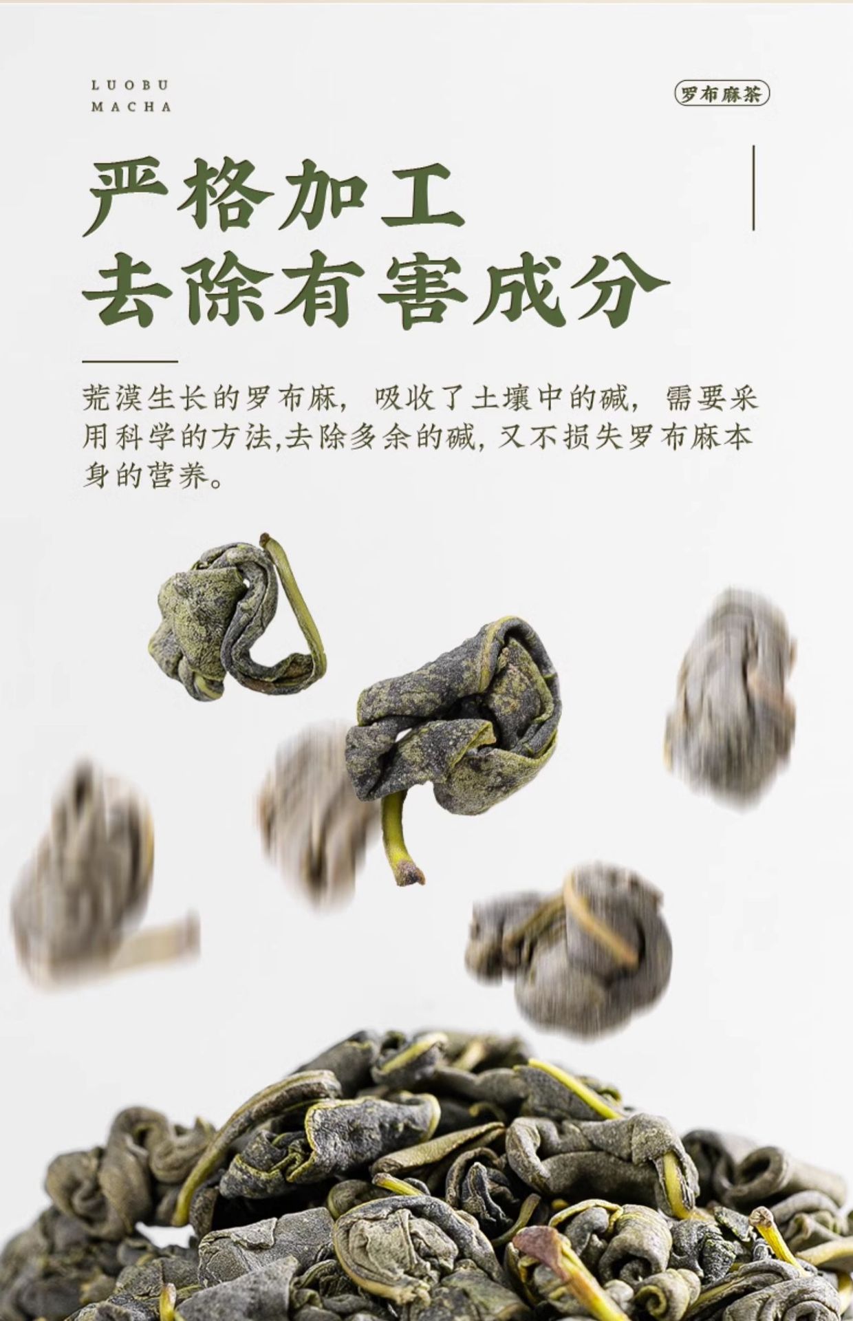 Luo Bu Ma Tea Apocynum Leaf Herbal Tea 150g Canister Daily Wellness Brew specifications