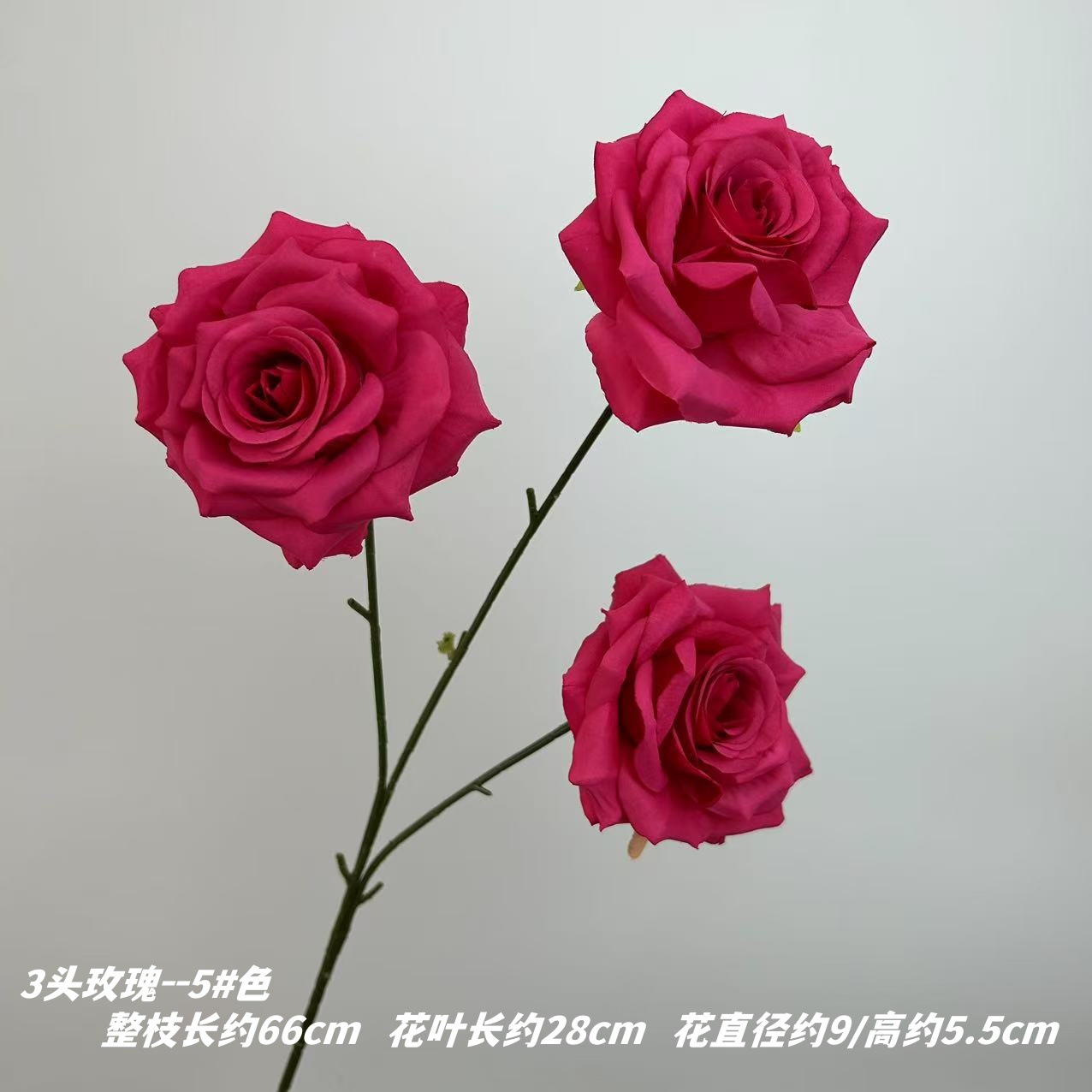 5 # 색상
