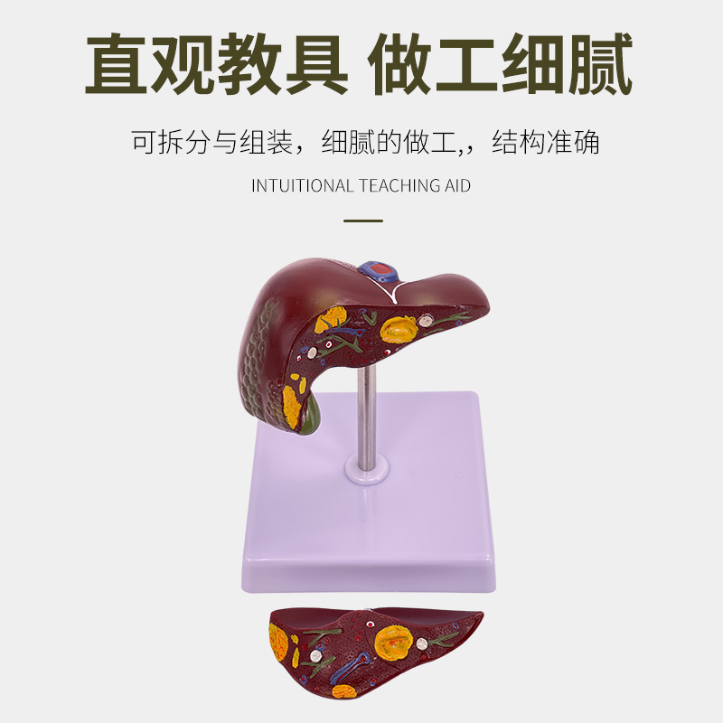 ���ಡ��ģ�� ֬��ģ�� �ε�ģ�� ����� ��������������ģ��