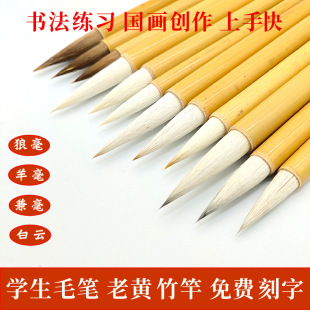Students Wolf hairs sheep hairs beginners and Jian Baiyun calligraphy brush large and medium-sized training courses Chinese painting brush