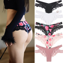 WѝŮԸٽzӡh۶ѝ黨ٿ۱zTѝ