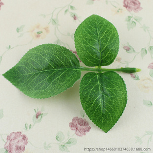 �z�W����� ����õ�廨�~ DIY���ϰٺϻ��~���