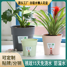 双层自吸水懒人花盆塑料树脂室内桌面水培绿萝盆栽绿植多肉小花盆