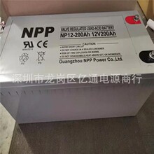 广州耐普太阳能蓄电池NPG12-200免维护12V200Ah NPP蓄电池