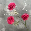 3 header chrysanthemum