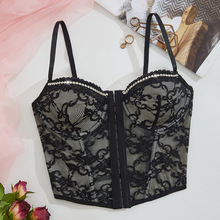 2026�¿���Ȥ˯�¼����L�Ը������ٽz͸������ϵ���̿��������Ů