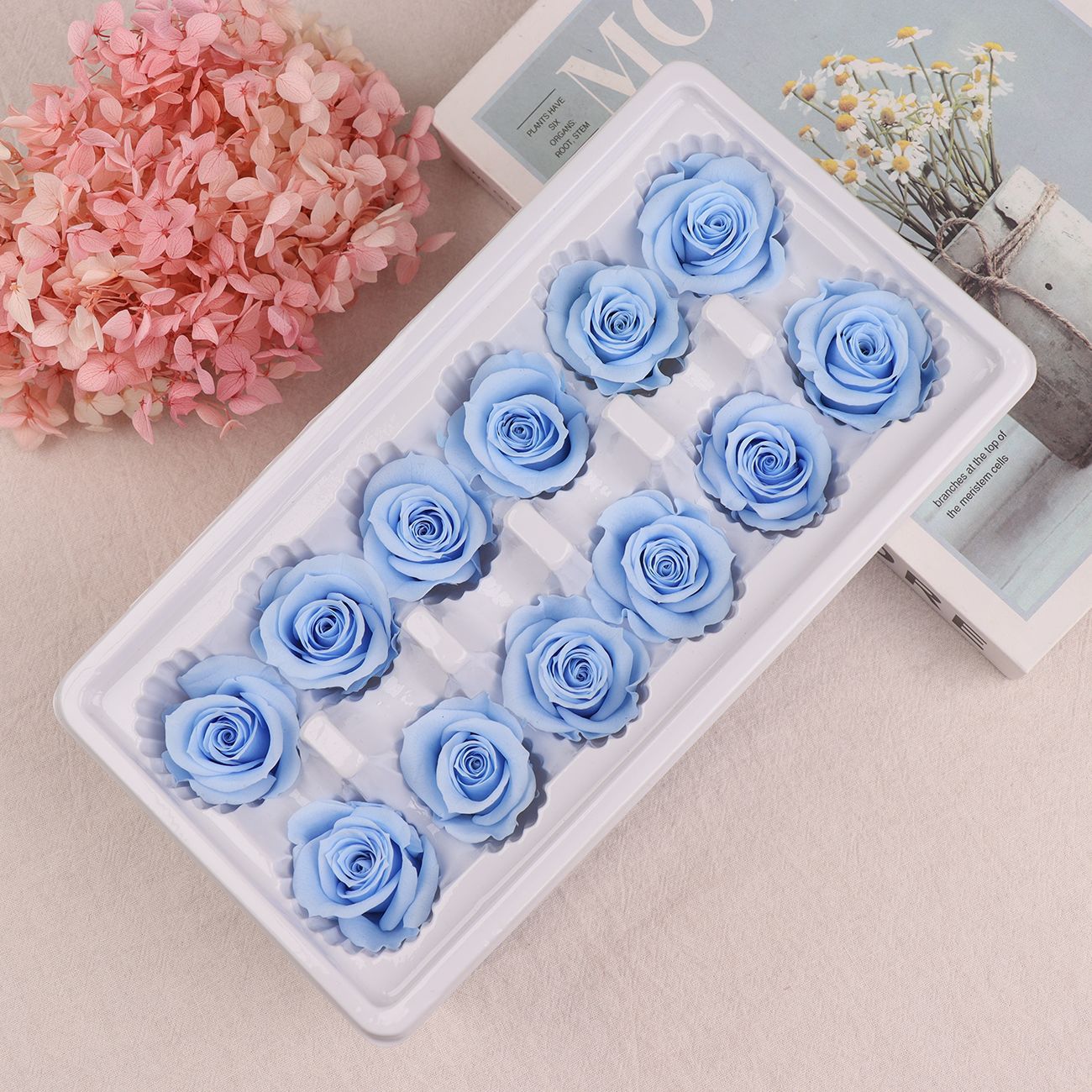 Cabezas de Rosa Eternas A+, 3-4 cm, 12 Piezas, Materiales para Manualidades Florales, Caja de Regalo, Fabricante, Venta al por Mayor