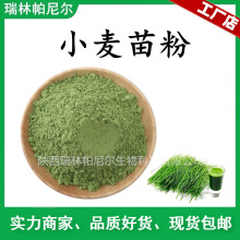现货供应 小麦苗粉 小麦苗汁粉 水溶好绿色粉末 专业植提厂供应