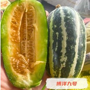 �����̖�ǲ���61��϶Y�м��ɶYƷ�Fժ�Ȱl����9̖С��������