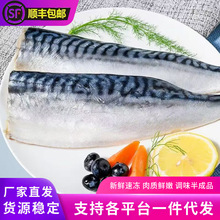 新鲜青花鱼照烧调味青花鱼片日式料理烤青占鱼海鲜水产商用批发