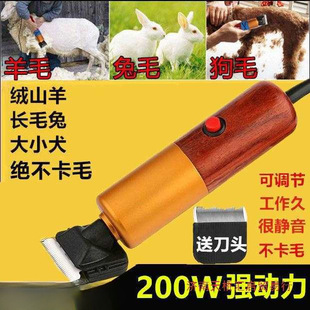 ����200������Ƽ�����؈늄���ë������Ӵ���Ȯ��ë����ë��