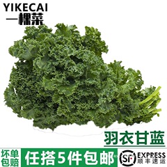 【yikecai】羽衣甘蓝500g 新鲜蔬菜嫩叶甘兰kale健身榨汁5件包邮