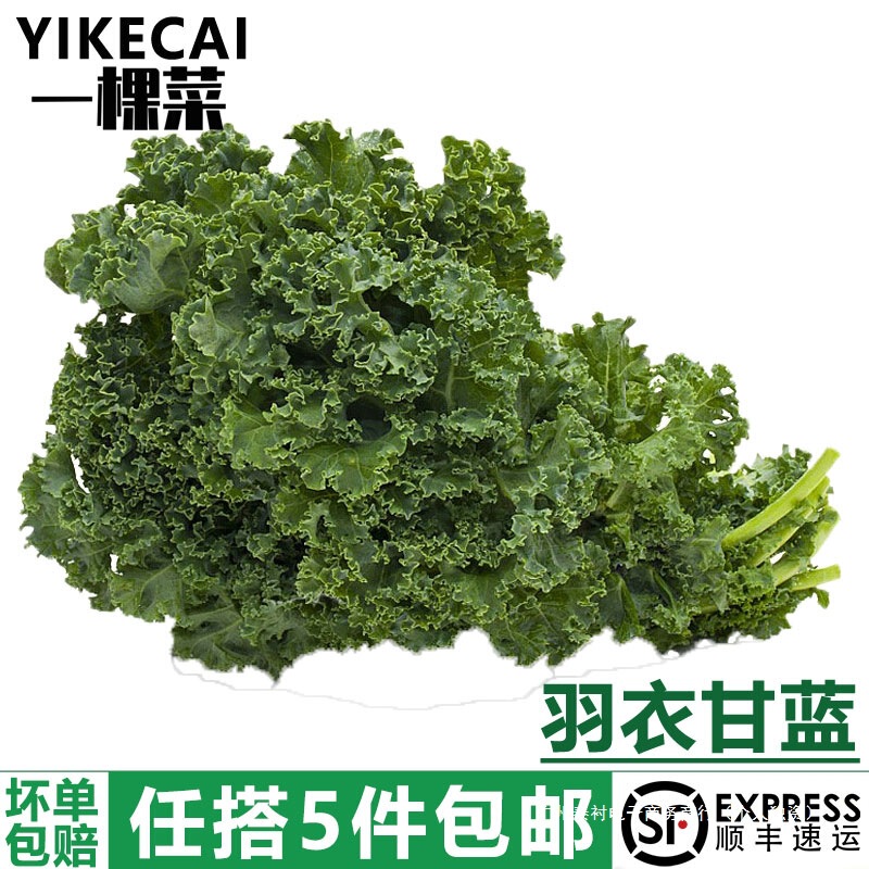 【yikecai】羽衣甘蓝500g 新鲜蔬菜嫩叶甘兰kale健身榨汁5件包邮|undefined