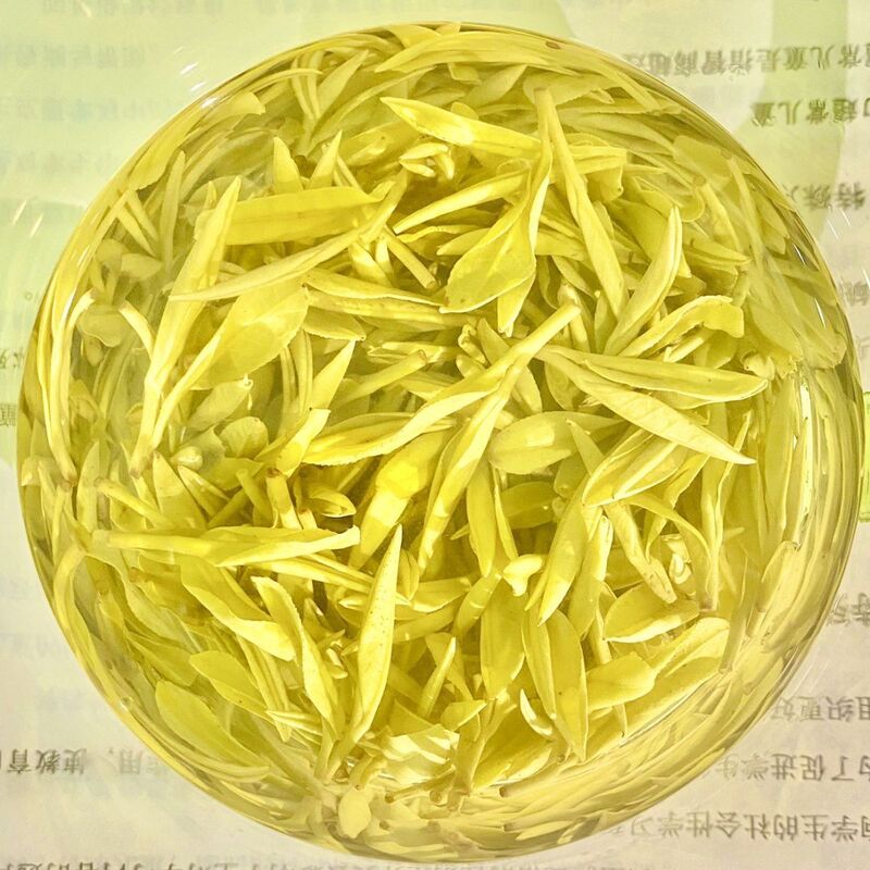 2026 New Tea Zhejiang White Tea Golden Bud Pre-Harvest Spring Tea Authentic Original High Mountain Strong-Flavor Yellow Tea 250g