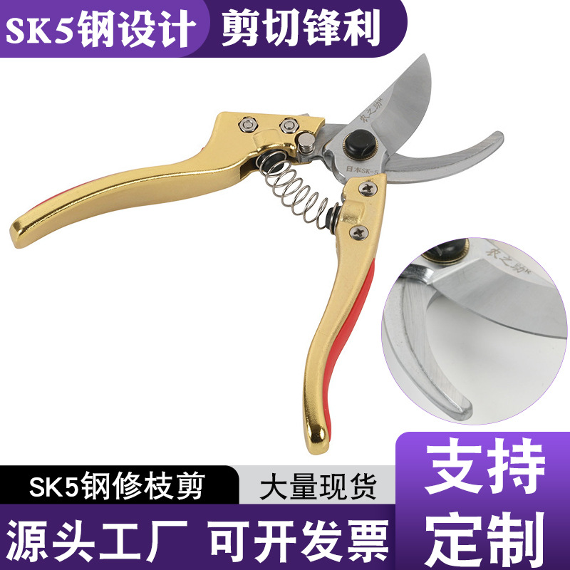 现货供应园林修枝剪弯头园艺果树剪五金树枝剪果剪剪枝剪花花枝