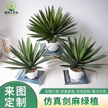 ���愦���҃�ܛ�b�쾰�bپGֲ���m�~���z�ָ��~��ֲ�������m