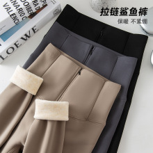 拉链排扣鲨鱼裤女外穿秋冬加绒保暖加厚打底裤高腰收腹塑形芭比裤