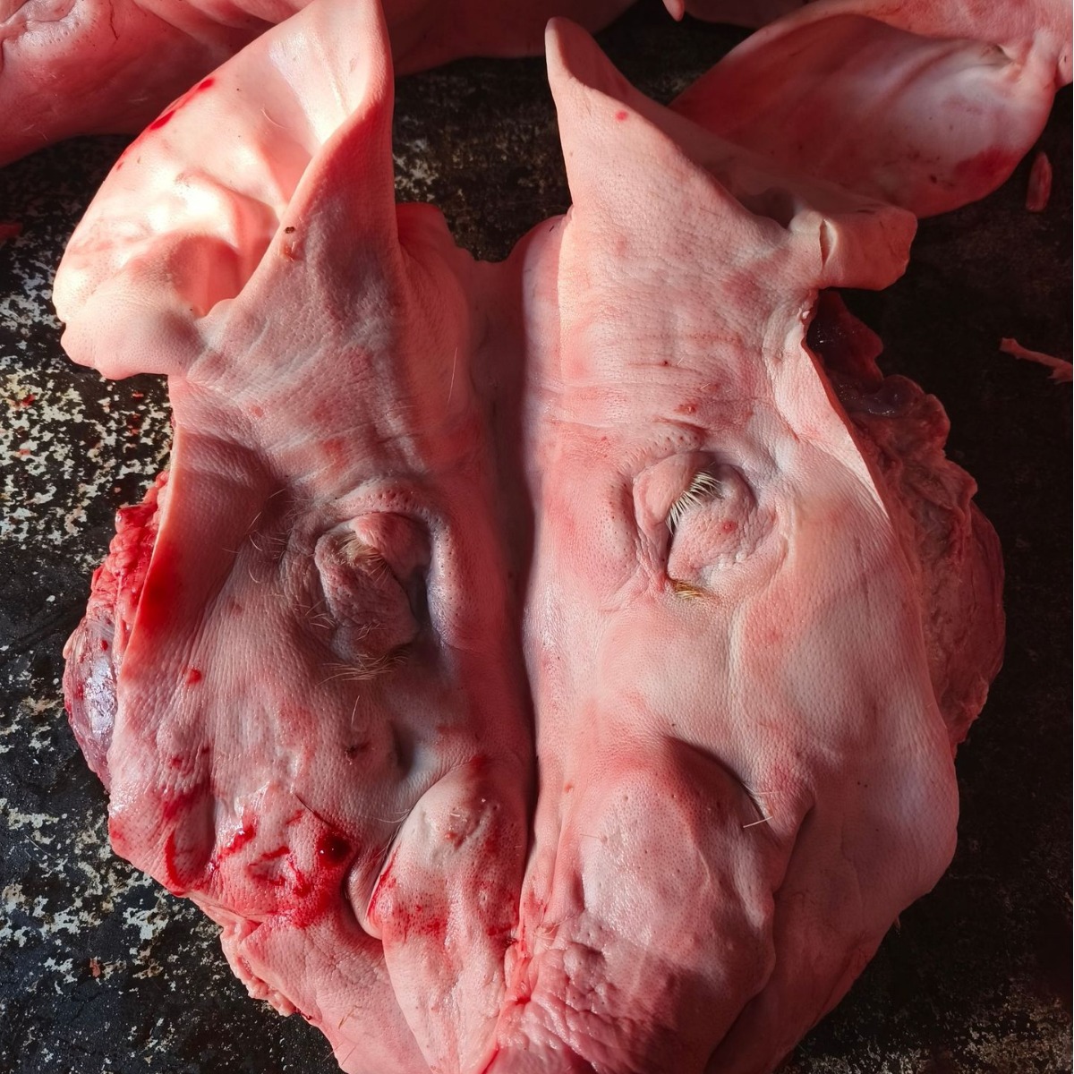 一手批发猪头猪脸肉年货主菜必选绍兴批发新鲜冷冻整只无毛猪头