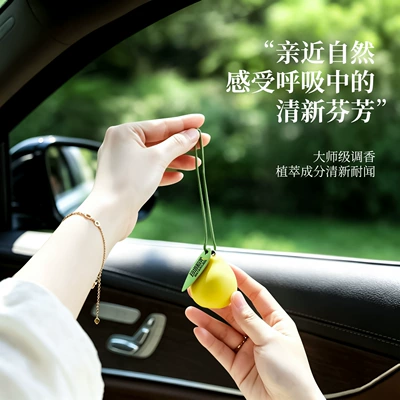 car fragrance to eliminate odors, Car hanging