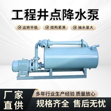 真空井点降水泵水环式铸铁材质基坑河道管井自吸工程轻型降水泵