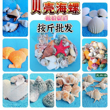 ���ؐ����ˮ���^һ��Ư��ƿؐ��Ӱ΢���^��Сë�Ҿ�ƿ�~��