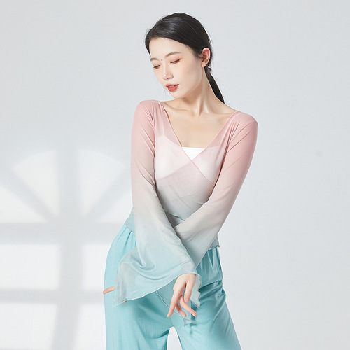 Classical dance practice clothes, rhyme clothes, gauze clothes, Chinese dance dance clothes, women's elegant tops, body performance clothes