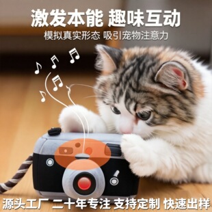 �羳������߹���ë�q���|���������C�������С�����Ӱl���