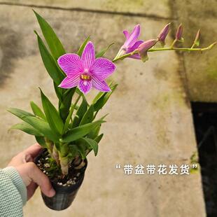 ��ʯ���m���������������ۙ��ҷ����Z��ൽ���p�����ֺ��B����