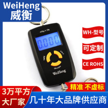 WeiHengWH-A05ЯʽӿݳƵ45ﹳ