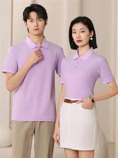 180����z�޼�ɫPOLO������ �S�����������IT���Ļ������l��LOGO
