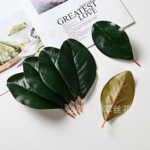 G~l Ƭm~DIYϹ~^hֲ~ӵ