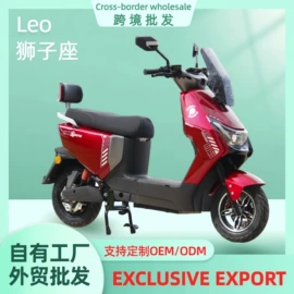 其他电动车;电动摩托车;两轮摩托车