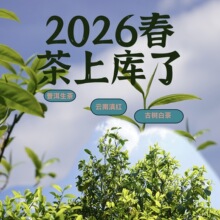 ����ն���Դ�^2026����u�������w�����^���Ř����ղ��~�����l