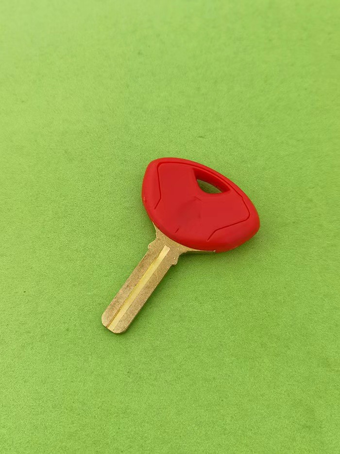 Bmw Motorcycle Key F800Gs R1200Gs Adv Oil Bird Water Bird F800Gt S1000Xr Key