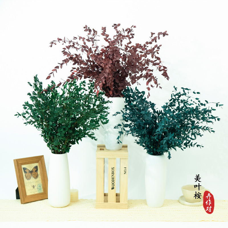 Eternal Fine Leaves Eucalyptus Leaves Air-dried Eucalyptus Fine Leaves Dried Flowers Wedding Festival Mid-Autumn Festival Home Decoration Flower Arranging