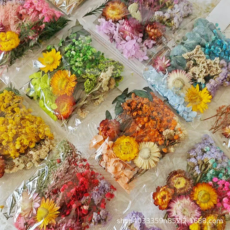 Natural Dried Flowers Eternal Flowers Artificial Flowers Children's Handmade DIY Fan Material Package Dried Flowers Greeting Card Kindergarten