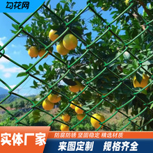 ��\�����W�Bֳ�W䓽z�W���ξW���o�F�z�W�Q�������W�Bֳ���ھW
