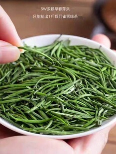 ��ǰ���ë��ȸ��2026�²�G���ؼ���̶��ѿ�F����F�G����bȸ��