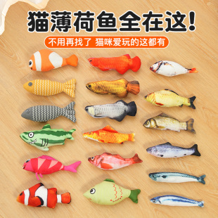 �羳���l������Ʒë�q�����~��ż��؈��߱����~�W�t؈���������