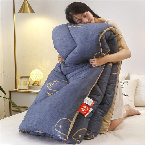 Manufacturer wholesale thickened warm quilt winter quilt core single dormitory spring and autumn thin quilt air conditioning quilt four seasons quilt