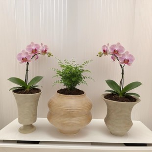 ��ʽ���_�մ��п׻�������m�W�t�Gֲ�մɻ�ƿ�_�R���մɻ��軨��