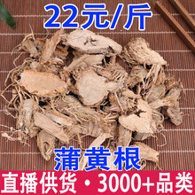 ���S�� �ѺO �у��� �ѹS ˮ�T���Ѹ� �Ѳݸ� �Ѱ��ݸ����l���l