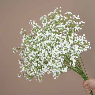 �M���Ƿ��滨 ��Y������������c�Ҿ��b��滨����M���Ǽٻ�