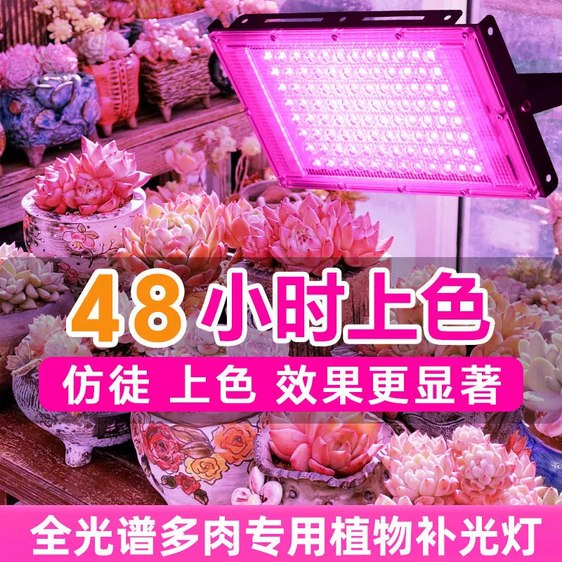 跨境多肉专用补光灯植物生长灯增色增艳防徒促生长高亮投光灯