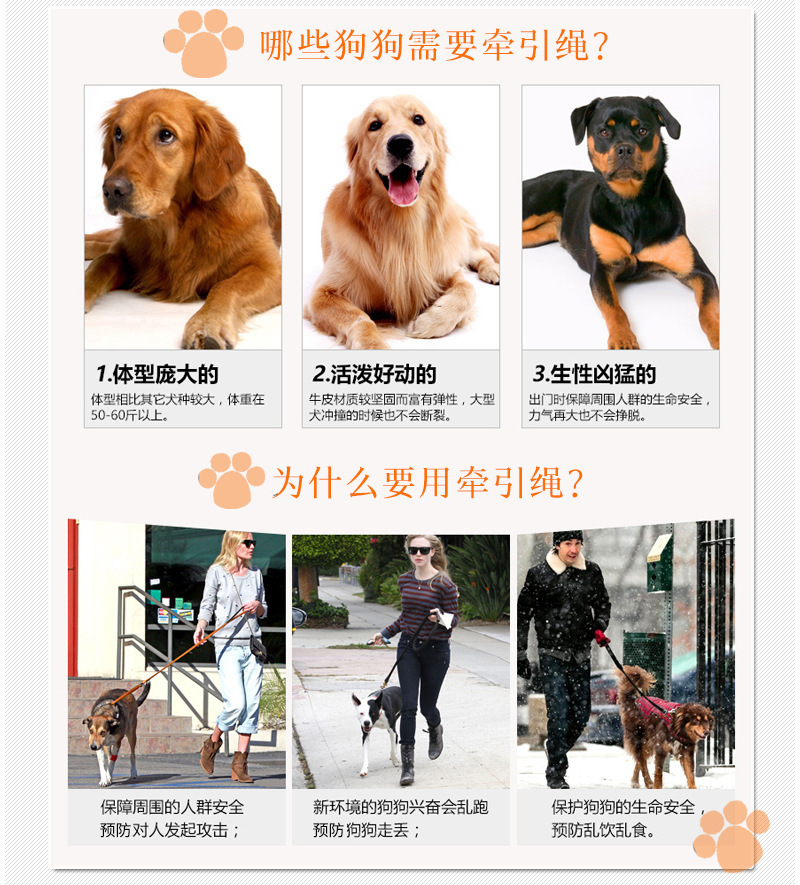 O1CN012ur8BV2FxKCaDTIdy_!!2218