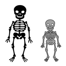 1ƬDIY���N�� �f�}�����t�˿�Ƭ���� ����̼䓵�ģ�����g���и